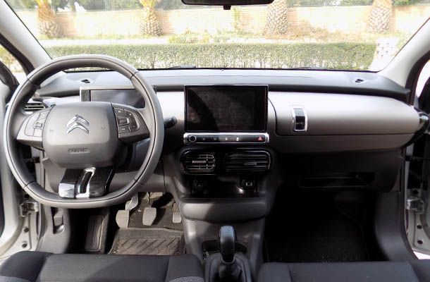 c4_cactus_interior