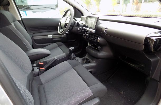 c4_cactus_interior_2