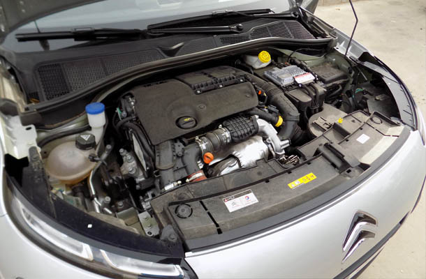 c4_cactus_motor
