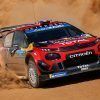 Rally de México 2019: Sébastien Ogier consigue su quinto triunfo y es de nuevo líder