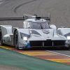Ginetta inscribe dos de sus LMP1 para la temporada 2019-2020 del Mundial de Resistencia