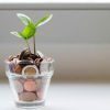 4 consejos para elegir la mejor cuenta de ahorro de alta rentabilidad